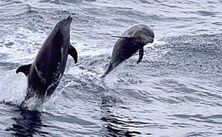 سلطنة عُمان: وجهتك لعطلة لا تُنسى